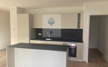 Terrassenwohnung 2.5 Zimmer - image - 3