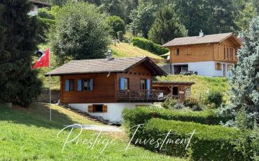 Chalet 3.5 rooms - image - 2