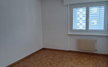 Wohnung 3 Zimmer - image - 4