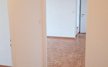 Wohnung 3.5 Zimmer - image - 1