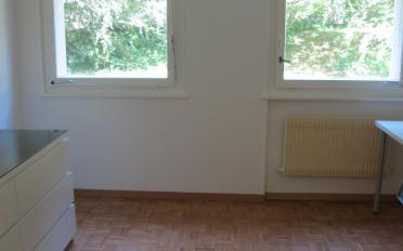 Wohnung ein Zimmer - image - 2