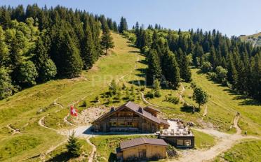 Chalet 8 pièces - image - 1