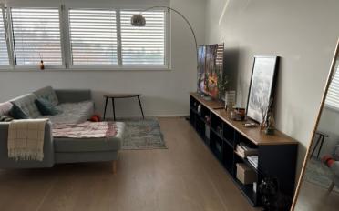 Wohnung 2.5 Zimmer - image - 2
