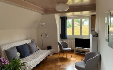 Wohnung 2.5 Zimmer - image - 4