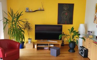 Single room 1 room - image - 3