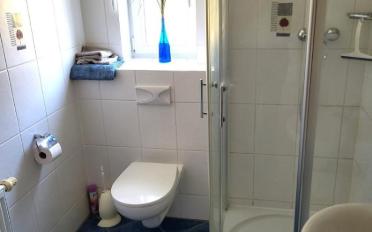 Single room 1 room - image - 5