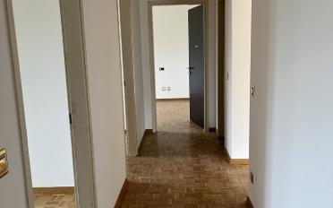 Wohnung 5.5 Zimmer - image - 4