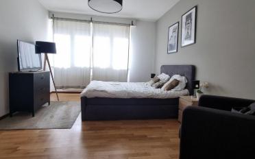 Furnished flat 1 room - image - 1