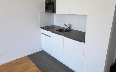 Apartment 1.5 rooms - image - 3