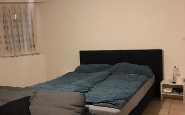 Wohnung ein Zimmer - image - 3