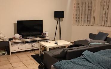 Wohnung ein Zimmer - image - 4