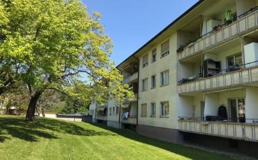 Wohnung 3 Zimmer - image - 1