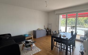 Wohnung 2.5 Zimmer - image - 2