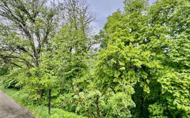 Maison 7 pièces - image - 3