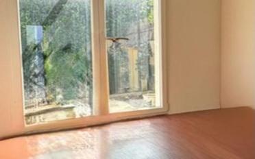 Villa 9 pièces - image - 11