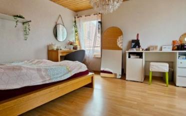 Single house 7 rooms - image - 13