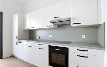Apartment 2.5 rooms - image - 4