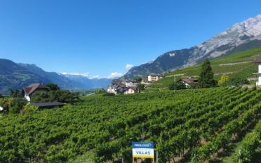 Villa 5.5 pièces - image - 1