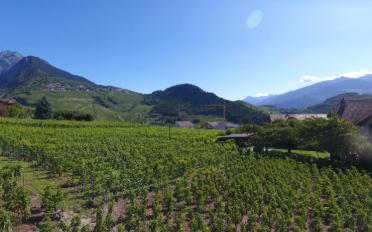 Villa 5.5 pièces - image - 11