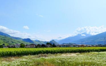 Villa 5.5 pièces - image - 1