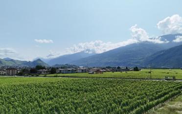 Villa 5.5 pièces - image - 4