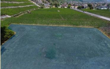 Terrain à bâtir - image - 3