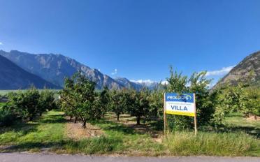 Villa 5.5 pièces - image - 1