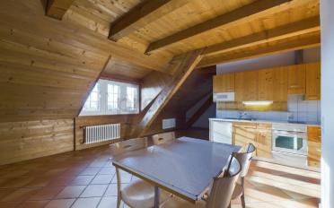 Dachwohnung ein Zimmer - image - 2