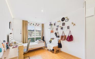 Wohnung 4.5 Zimmer - image - 8