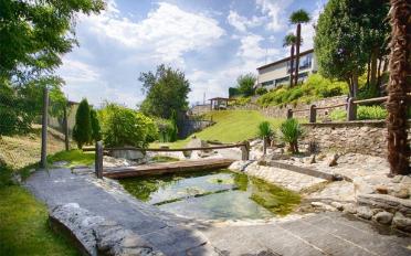 Single house 7 rooms - image - 8