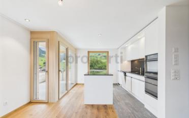 Duplex 5.5 pièces - image - 2