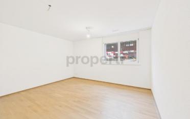 Appartement 4.5 pièces - image - 8