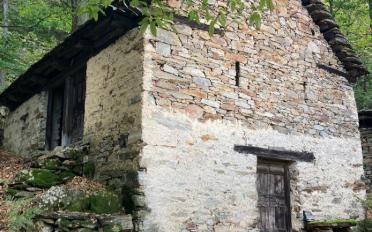 Maison contiguë 4 pièces - image - 1