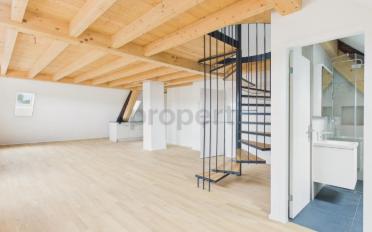 Duplex 2.5 rooms - image - 4