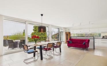 Appartement terrasse 3.5 pièces - image - 2
