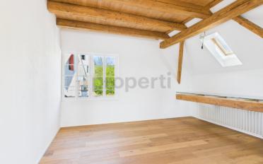 Attic flat 2.5 rooms - image - 2