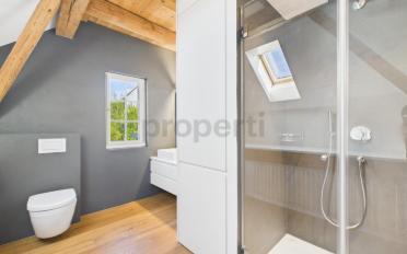 Attic flat 2.5 rooms - image - 7