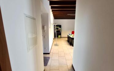 Apartment 2.5 rooms - image - 11