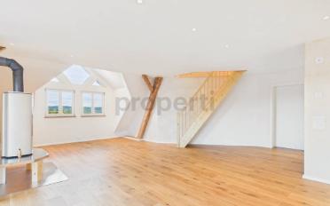 Duplex 2.5 pièces - image - 7