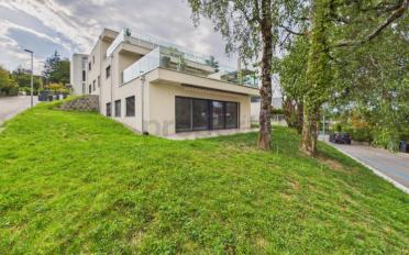 Wohnung 3.5 Zimmer - image - 1