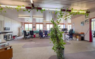 Büro - image - 12