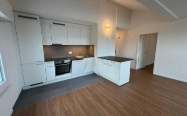 Roof flat 3 rooms - image - 6