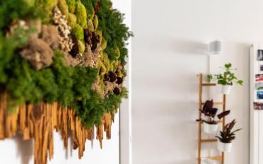 Appartement - image - 13