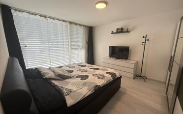 Villa 4.5 pièces - image - 14