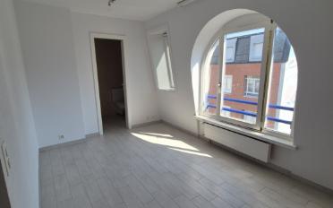 Apartment 1 room - image - 4