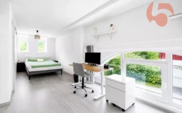 Wohnung 3.5 Zimmer - image - 8