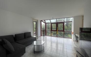 Wohnung 3.5 Zimmer - image - 1