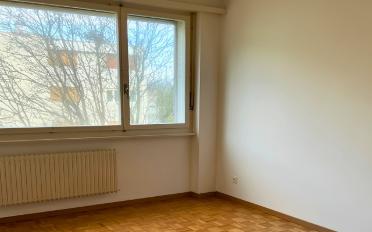Studio 1.5 rooms - image - 2