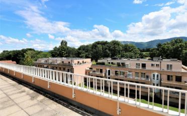 Appartement 5.5 pièces - image - 15