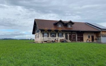 Wohnung 5.5 Zimmer - image - 2